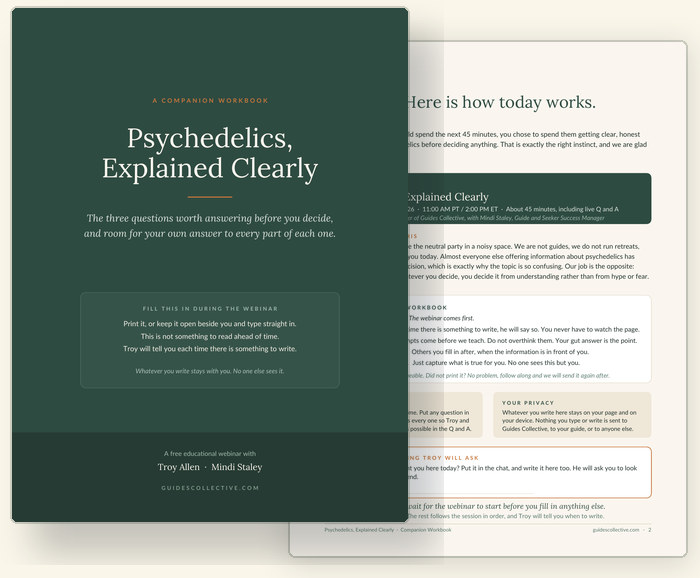 Sneak peek of the Companion Workbook — first two pages